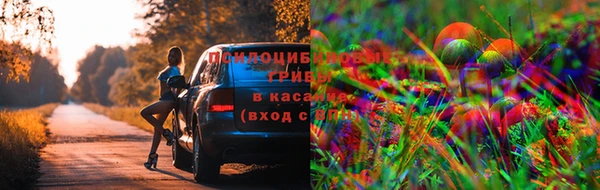 ALPHA PVP Алексин