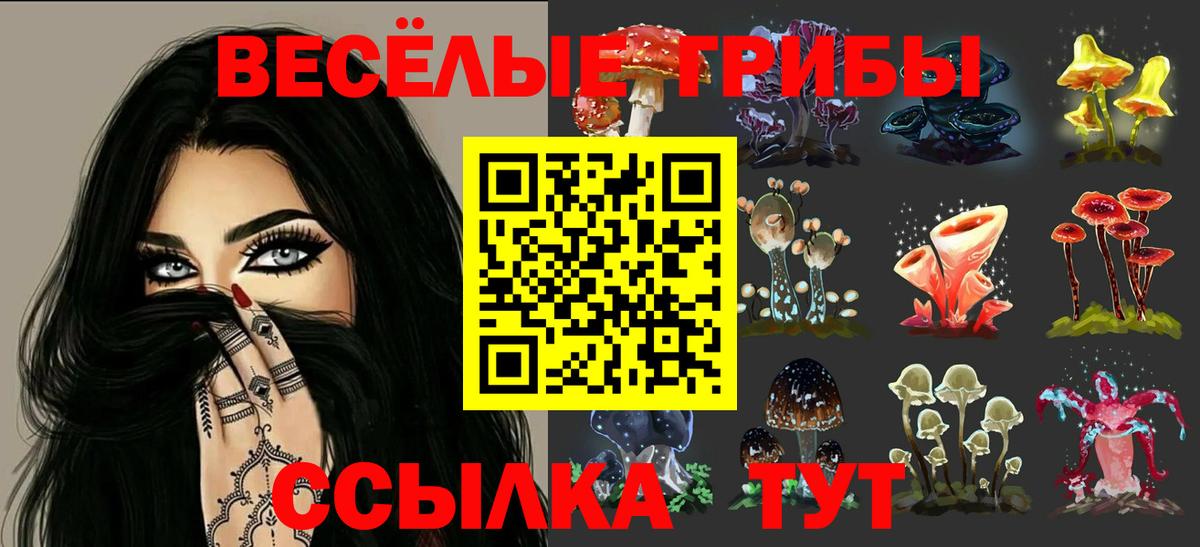 Псилоцибиновые грибы прущие грибы Салават