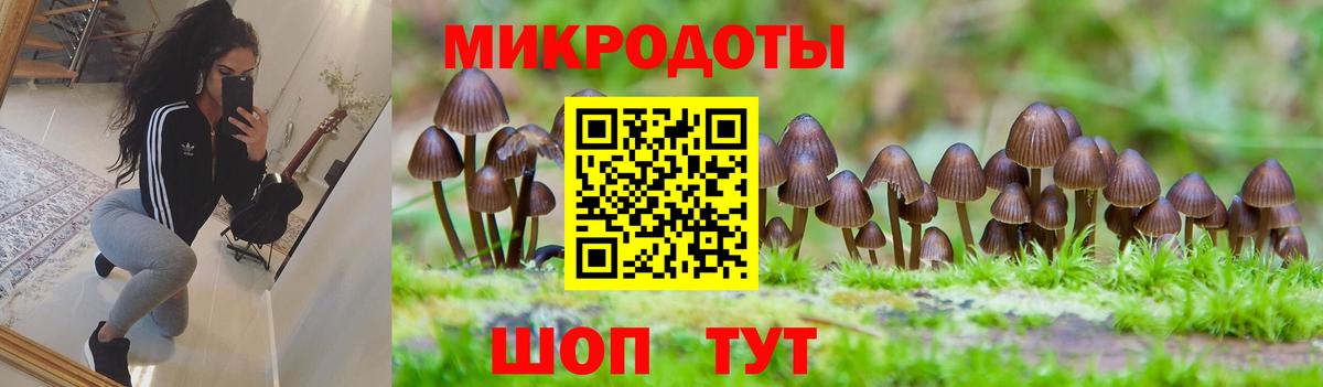Галлюциногенные грибы ЛСД  Галлюциногенные грибы Psilocybe  Вход с VPN  Салават 